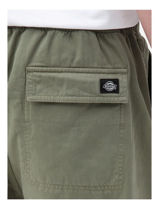 Dickies Cankton Elasticated Pant Green