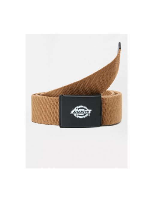 Dickies Orcutt Logo Buckle Belt Brown