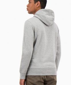 Champion Hooded Sweatshirt Grey