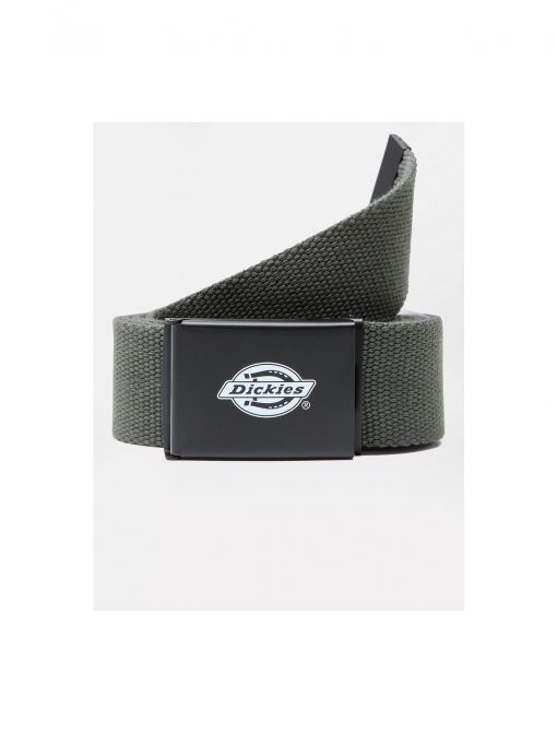 Dickies Orcutt Logo Buckle Belt Olive
