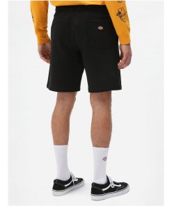 Dickies Champlin Shorts Black