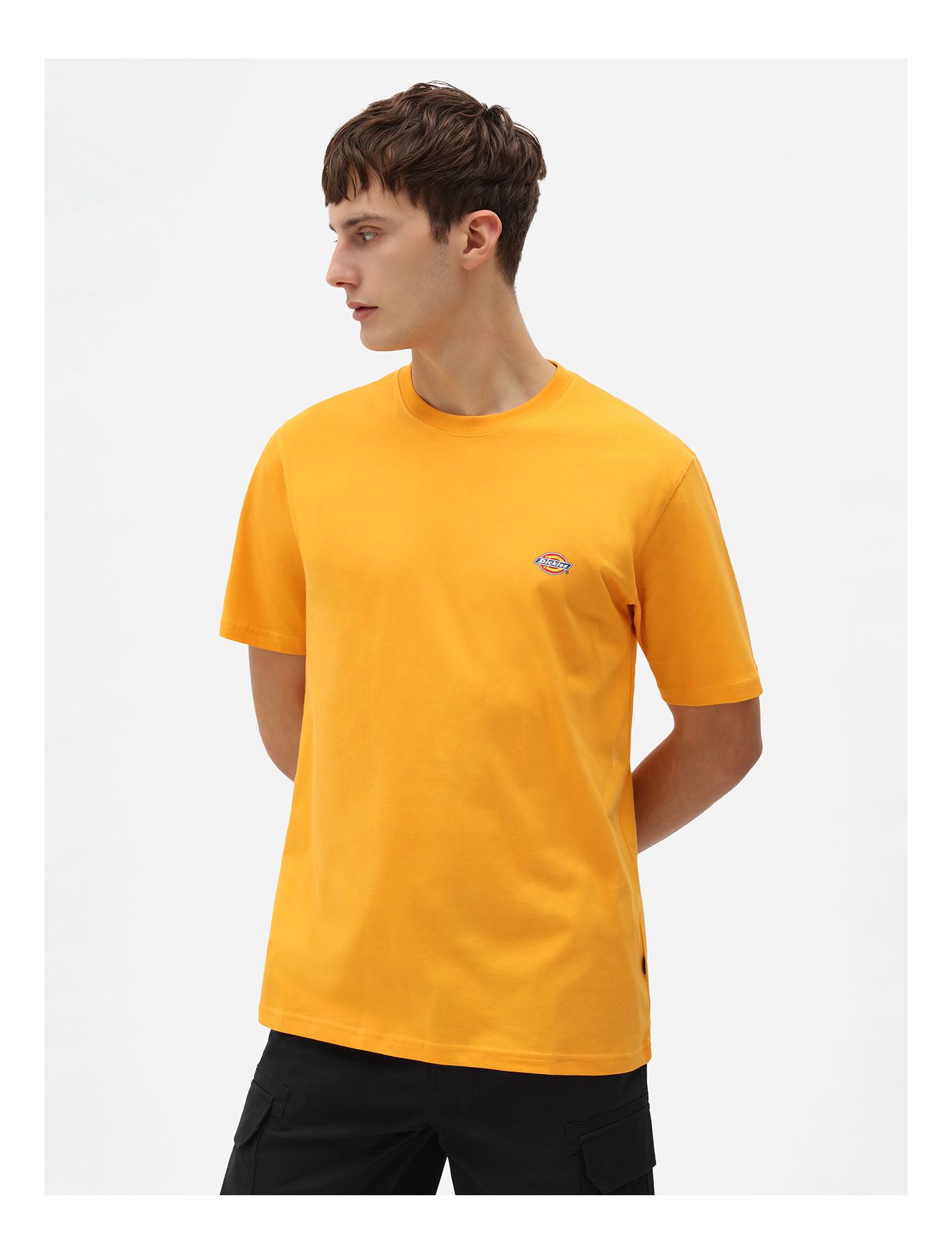 Tシャツ・カットソー DICKIES Men T-shirt Yellow Cream DK0A4Z92 F901 DICKIES: T-shirt homme - Jaune Crème | T-Shirt Dickies