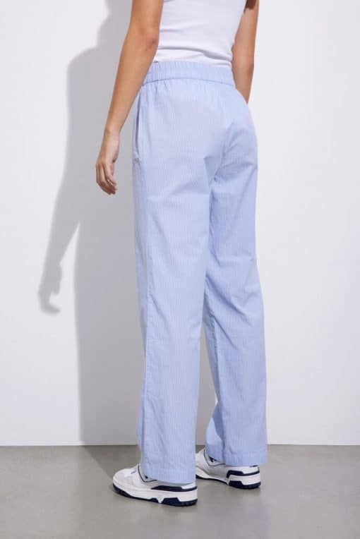 Envii Enryan Pants Blue Stripe