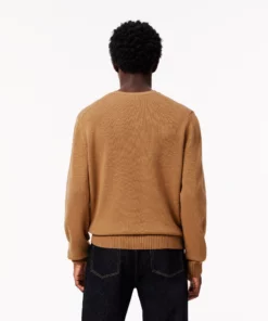Lacoste Carded Wool Crew Neck Sweater Brown